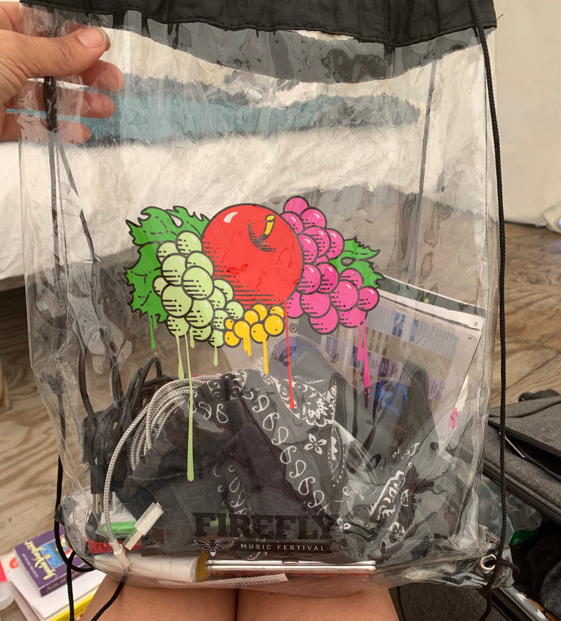 Festival Purses - The Clear Plastic Trend