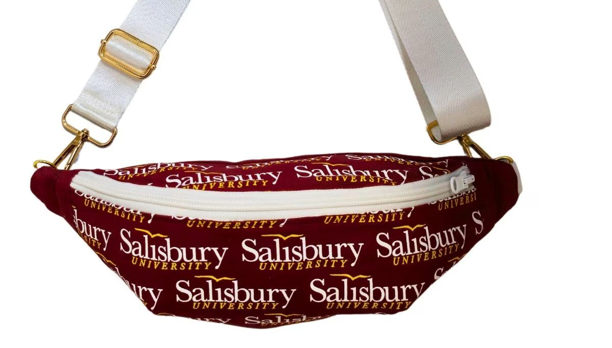 Bright campus print side of a Salisbury-themed handmade reversible Switch Purse crossbody bag